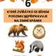 PODZIMNÍ PLOTOVKA 2