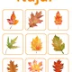 Lístečkový den 🍂🍁 4