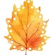 Lístečkový den 🍂🍁 6