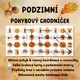 VELKÝ PODZIMNÍ BALÍČEK AKTIVIT PRO MŠ (7 v 1) 3