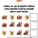 Uspávání broučků - podzimní stezka (bez barevného pozadí) 3