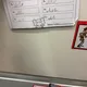 Psaní u, ú, ů 6