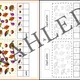 Podzimní matematika - počítání, rozklady čísel a doplňování do 10 6