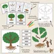 MONTESSORI STROM – třísložkové karty, přiřazování a puzzle 9