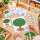 MONTESSORI STROM – třísložkové karty, přiřazování a puzzle 2