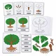 MONTESSORI STROM – třísložkové karty, přiřazování a puzzle 3