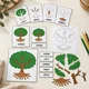 MONTESSORI STROM – třísložkové karty, přiřazování a puzzle 4