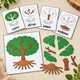 MONTESSORI STROM – třísložkové karty, přiřazování a puzzle 7