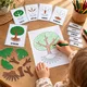 MONTESSORI STROM – třísložkové karty, přiřazování a puzzle 6