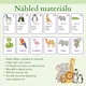 Zoo animals set - běhací diktát a flashcards 3