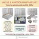 Kapybaří násobení a dělení 0–10 – kartičky a 15 her a aktivit 3