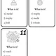 Football - běhací diktát a flashcards 3