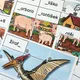 Logické puzzle 4