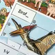 Logické puzzle 7