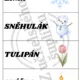 Hádej, co jsem/Slovní kufr 3
