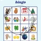 Obrázkové koledové bingo 3