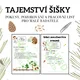 🌲TAJEMSTVÍ ŠIŠKY – pokusy, pozorování a pracovní list pro malé badatele 2