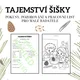 🌲TAJEMSTVÍ ŠIŠKY – pokusy, pozorování a pracovní list pro malé badatele 3