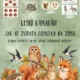 🍂 PODZIMNÍ LES SE CHYSTÁ NA ZIMU – zvýhodněný balíček aktivit pro MŠ 🌲🦔🍄 2
