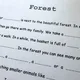 Picture reading - Forest 5