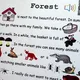 Picture reading - Forest 4