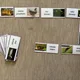 Domino - ekosystémy (soubor) - les, louka, pole, rybník, park, okolí lidských obydlí 4