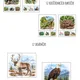 Zvířata ze zoo 3