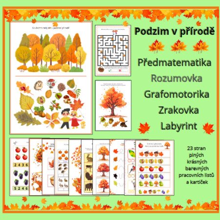 Podzimní plody stromů: pokladnice přírody