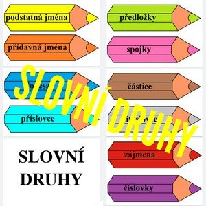 SLOVNÍ DRUHY