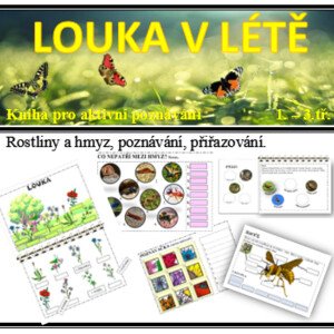 Louka v létě