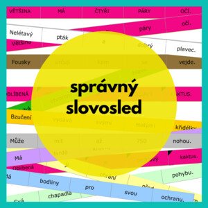správný slovosled
