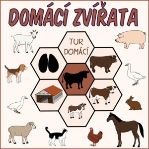 Domácí zvířata