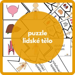 puzzle lidské tělo