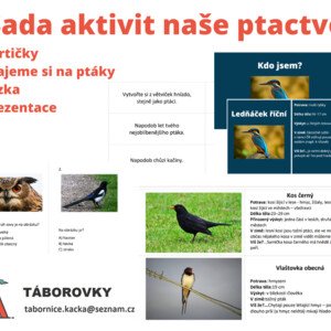 Soubor aktivit naše ptactvo