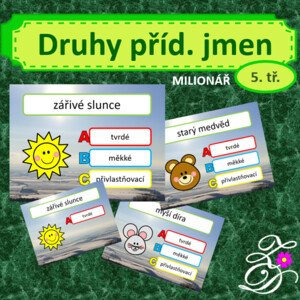 Druhy přídavných jmen (milionář)