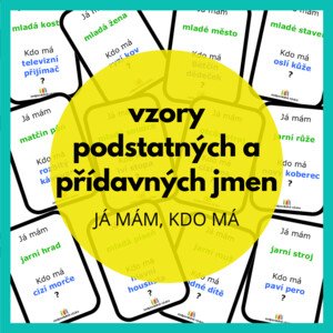 já mám, kdo má - vzory podstatných a přídavných jmen