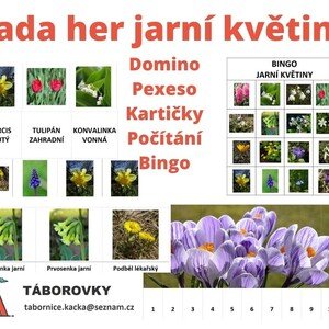 Sada her jarní květiny