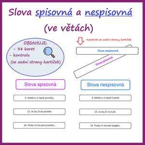 Slova spisovná a nespisovná (ve větách)