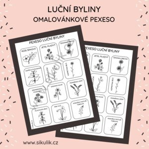 OMALOVÁNKOVÉ PEXESO luční byliny