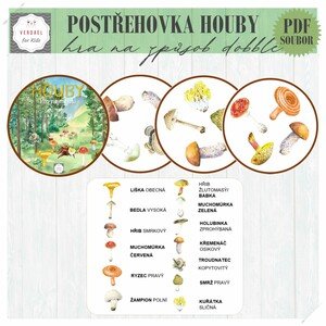 Postřehovka HOUBY