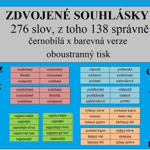 ZDVOJENÉ SOUHLÁSKY