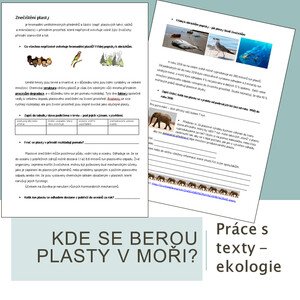 Kde se berou plasty v moři?