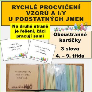 Rychlé procvičení vzorů + i/y podstatných jmen