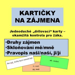 Kartičky na zájmena - druhy, pravopis