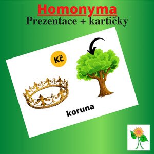 Slova mnohoznačná (homonyma)