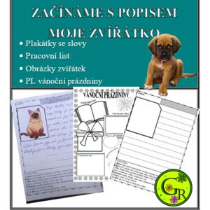 Začínáme s popisem