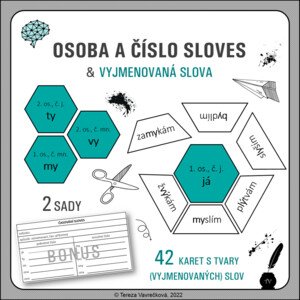 Osoba sloves + vyjmenovaná slova