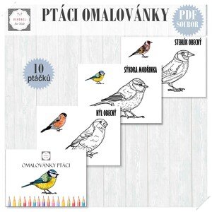 Omalovánky PTÁCI