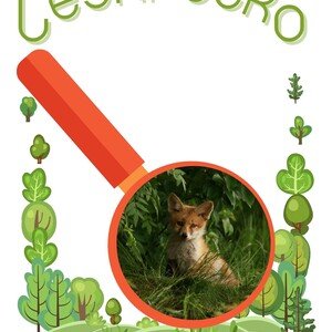 Lesní očko - stezka do probouzejícího se lesa