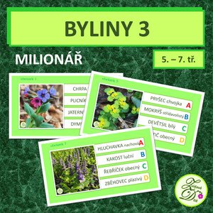 Byliny 3 (milionář)